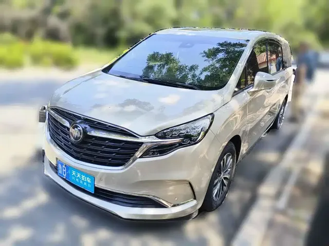 Buick GL8 2022 ES Landmark 653T Premium