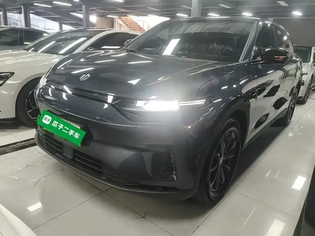 Leapmotor C11 2023 Pure Electric 500 Comfort Edition