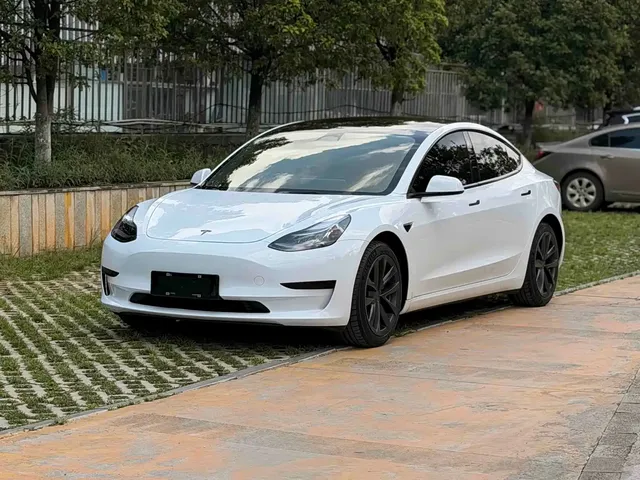 Tesla Model 3 2022 Model Rear-Wheel Drive Version