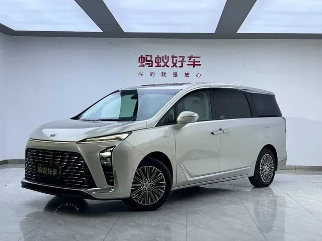 Buick GL8 New Energy 2024 Land Honor Luxury Edition 6-Seater
