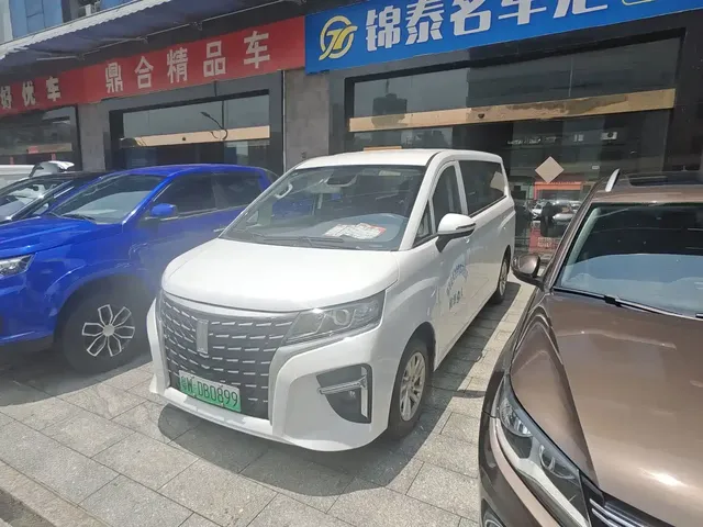 Link Tour Auto Lingtu E-M8 2025 320km Luxury Edition 9-Seater
