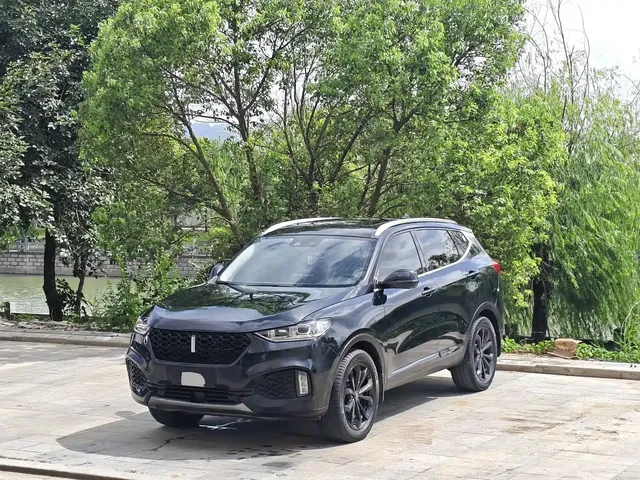 WEY VV6 2018 2.0T 2WD Super Luxury China V