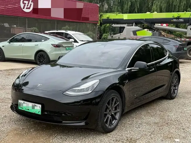 Tesla Model 3 2020 Standard Range Rear-Wheel Drive Upgrade