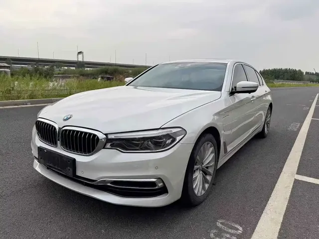 BMW 5 Series New Energy 2020 530Le Luxury Package