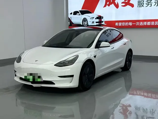 Tesla Model 3 2021 Standard Range Rear-Wheel Drive Upgrade