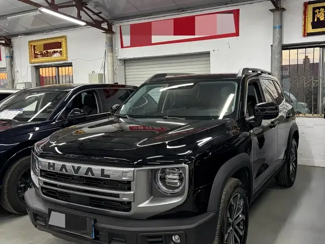 Haval Big Dog 2024 1.5T DCT Border Collie Edition
