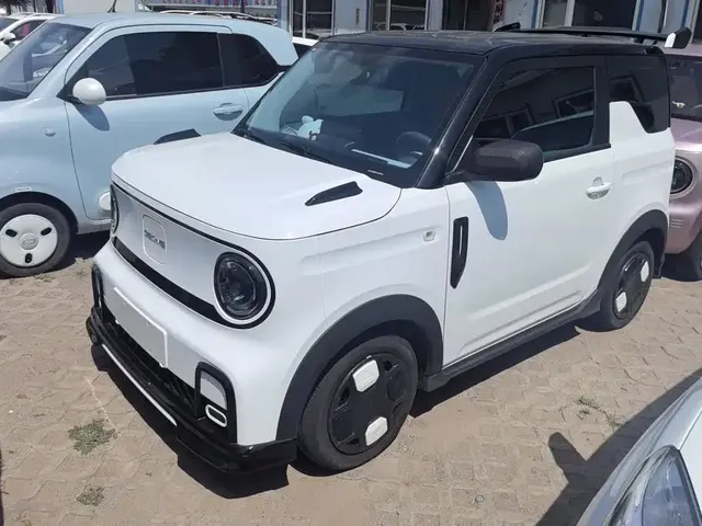 Geely Galaxy Panda 2024 200km Panda Kart