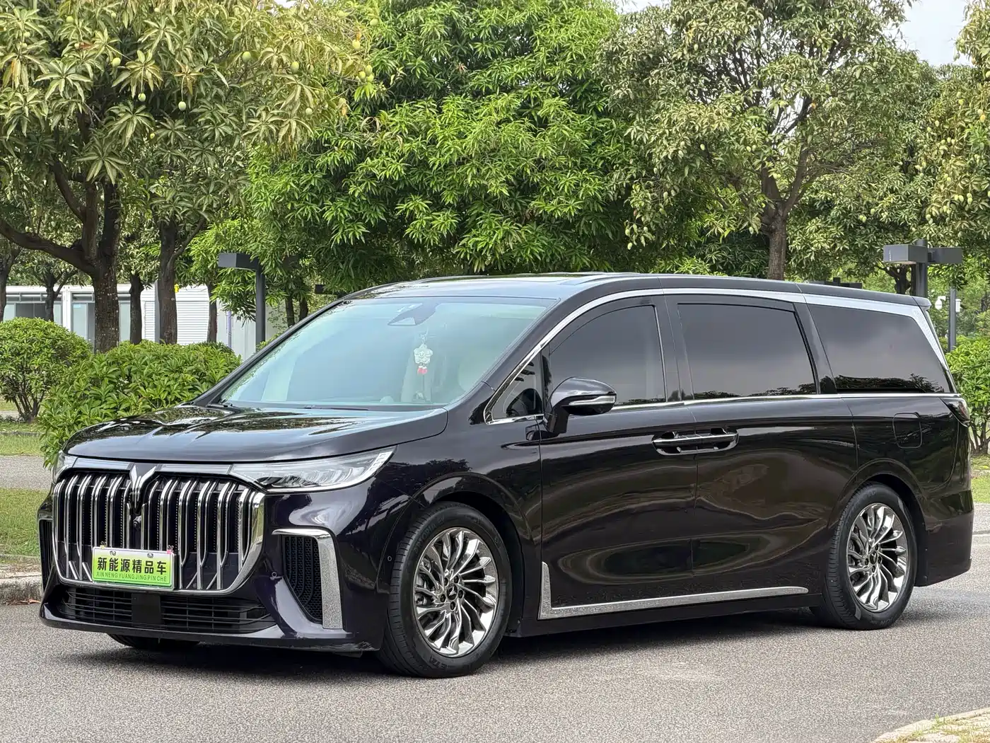 Voyah Auto Voyah Dreamer 2024 PHEV Extended Range Flagship Edition