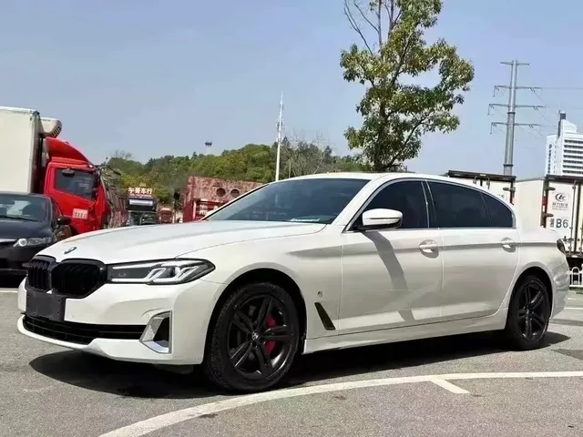BMW 5 Series 2021 530Li Leading Luxury Package