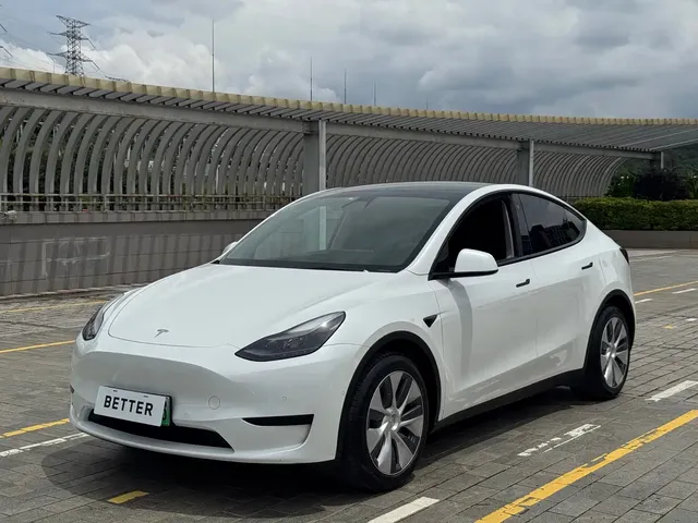 Tesla Model Y 2022 Rear-Wheel Drive Version