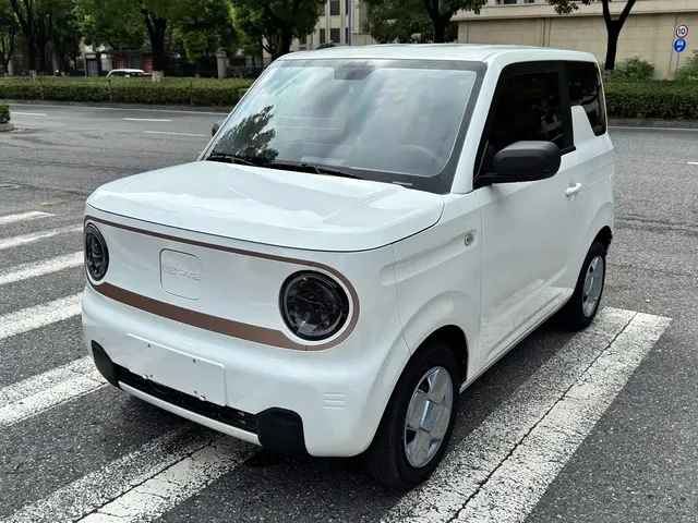 Geely Galaxy Panda 2023 Panda Mini 200km Endurance Bear