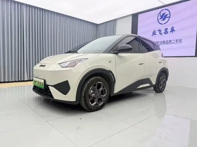 BYD Seagull 2025 Smart Drive Edition 305km Vitality Version