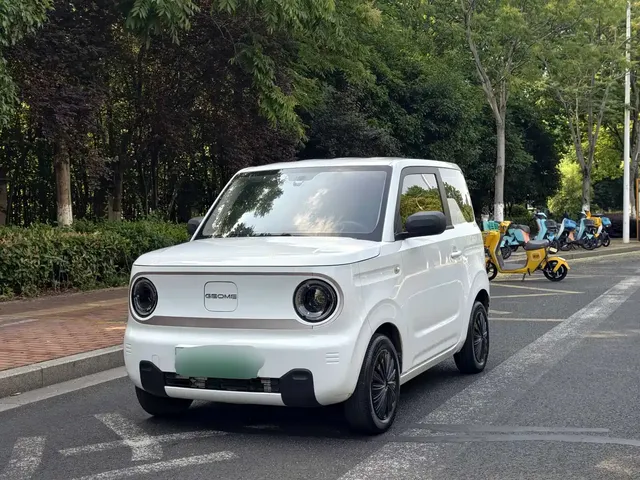 Geely Galaxy Panda 2023 Panda Mini 200km Endurance Bear