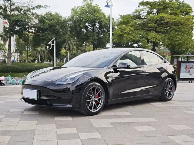 Tesla Model 3 2021 Standard Range Rear-Wheel Drive Upgrade