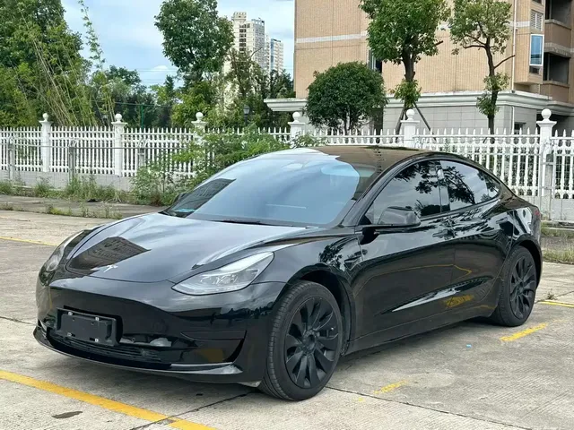 Tesla Model 3 2022 Model Rear-Wheel Drive Version