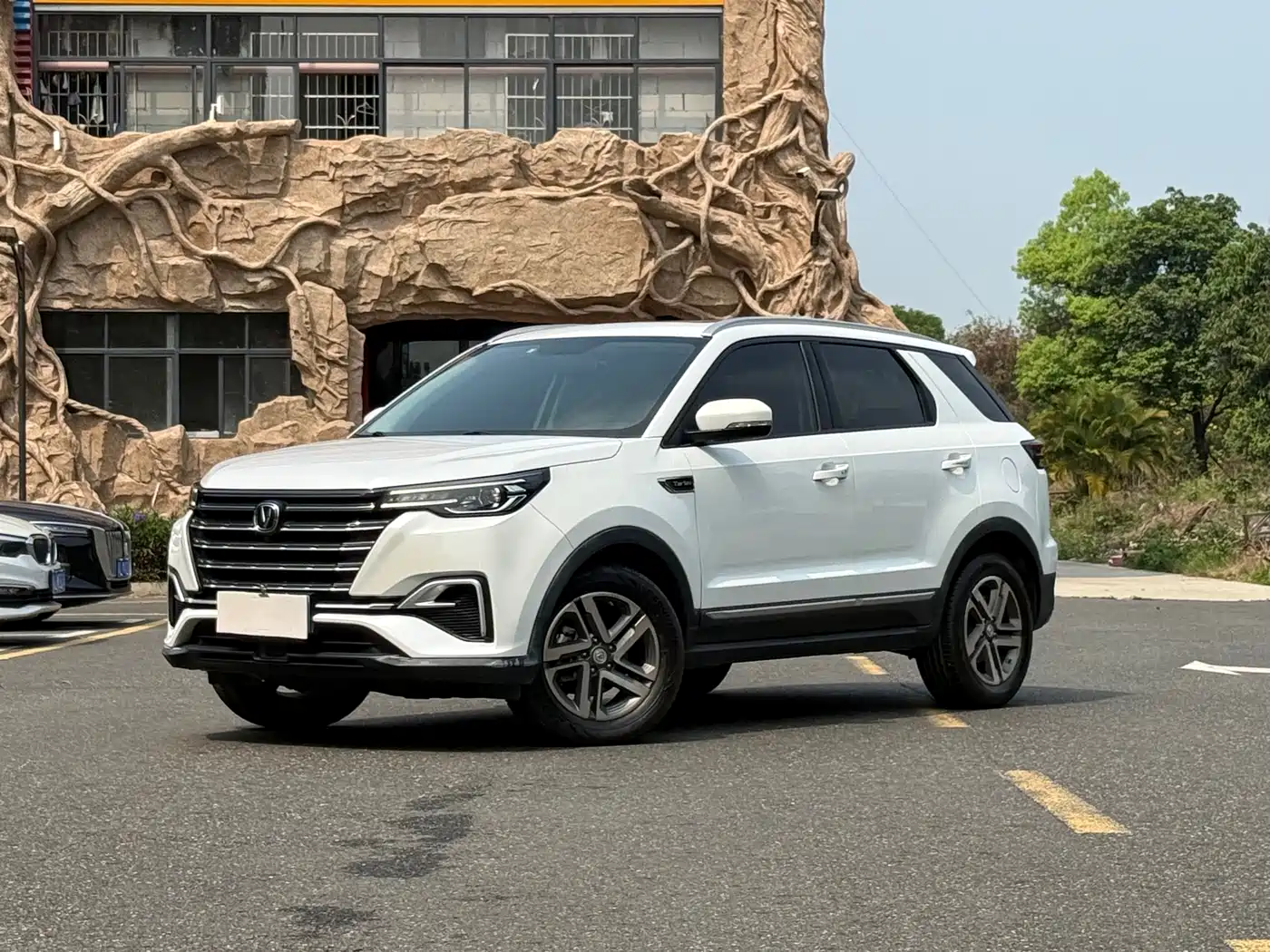Changan CS55 PLUS 2020 1.5T Automatic Color Edition