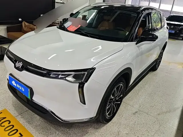 Weltmeister W6 2021 520km PRO All-round Edition