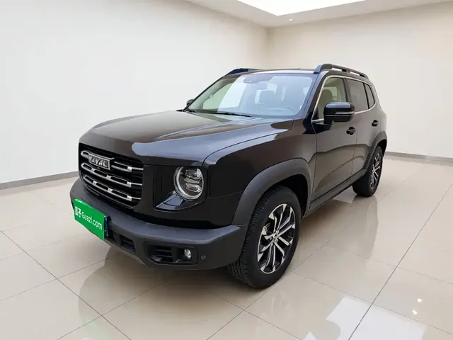 Haval Big Dog 2021 1.5T DCT 2WD Border Collie Edition