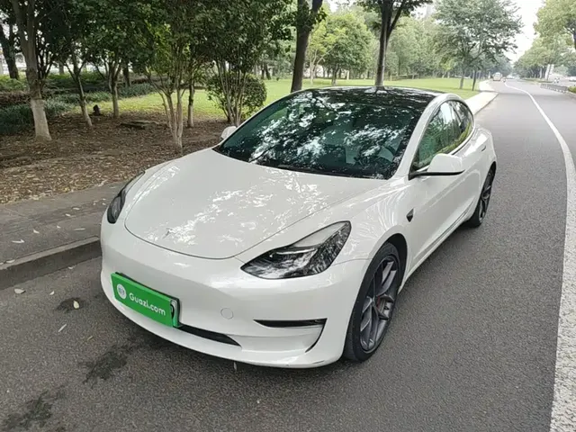 Tesla Model 3 2021 Performance High-Performance All-Wheel Drive