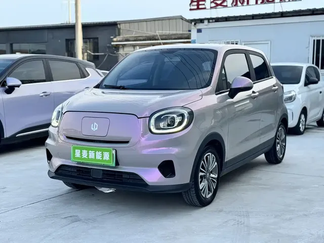 Leapmotor T03 2021 400 Micro Sugar Edition