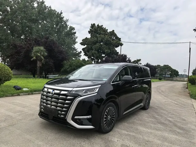 Denza D9 2024 DM-i 980 AWD Flagship