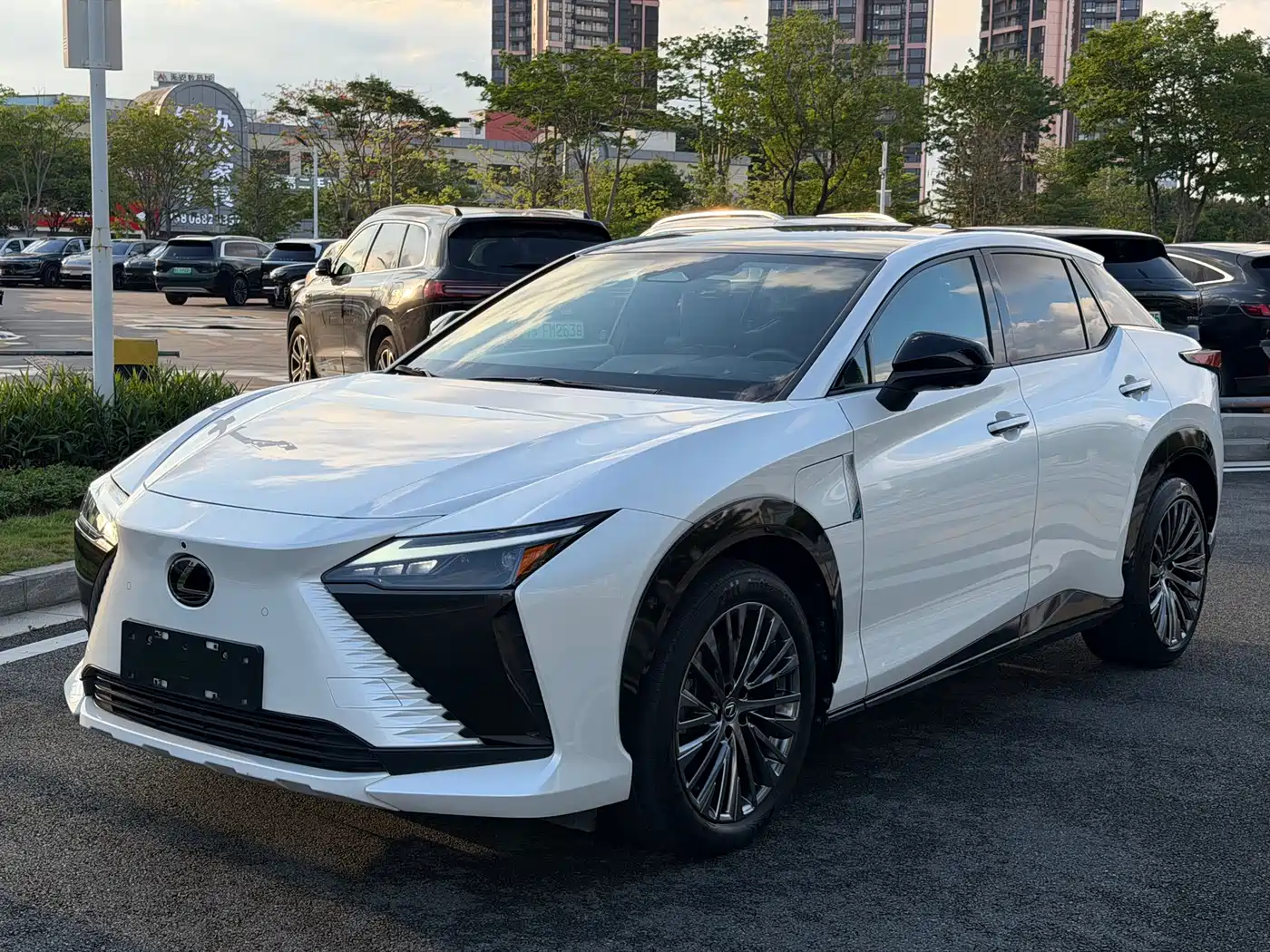 Lexus RZ 2023 450e 4WD Premium