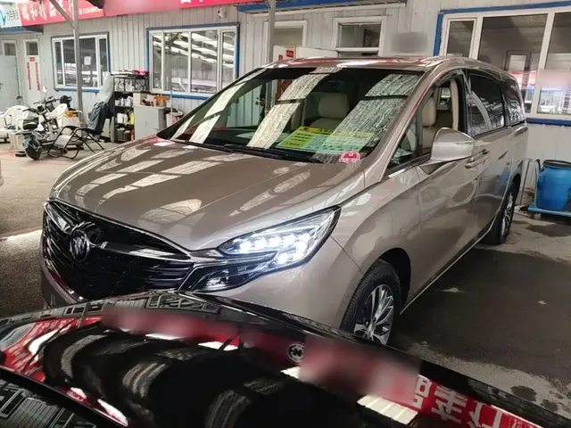 Buick GL8 2022 ES Landmark 653T Premium