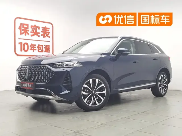 WEY Mocha 2021 2.0T 2WD Extra Rich Edition