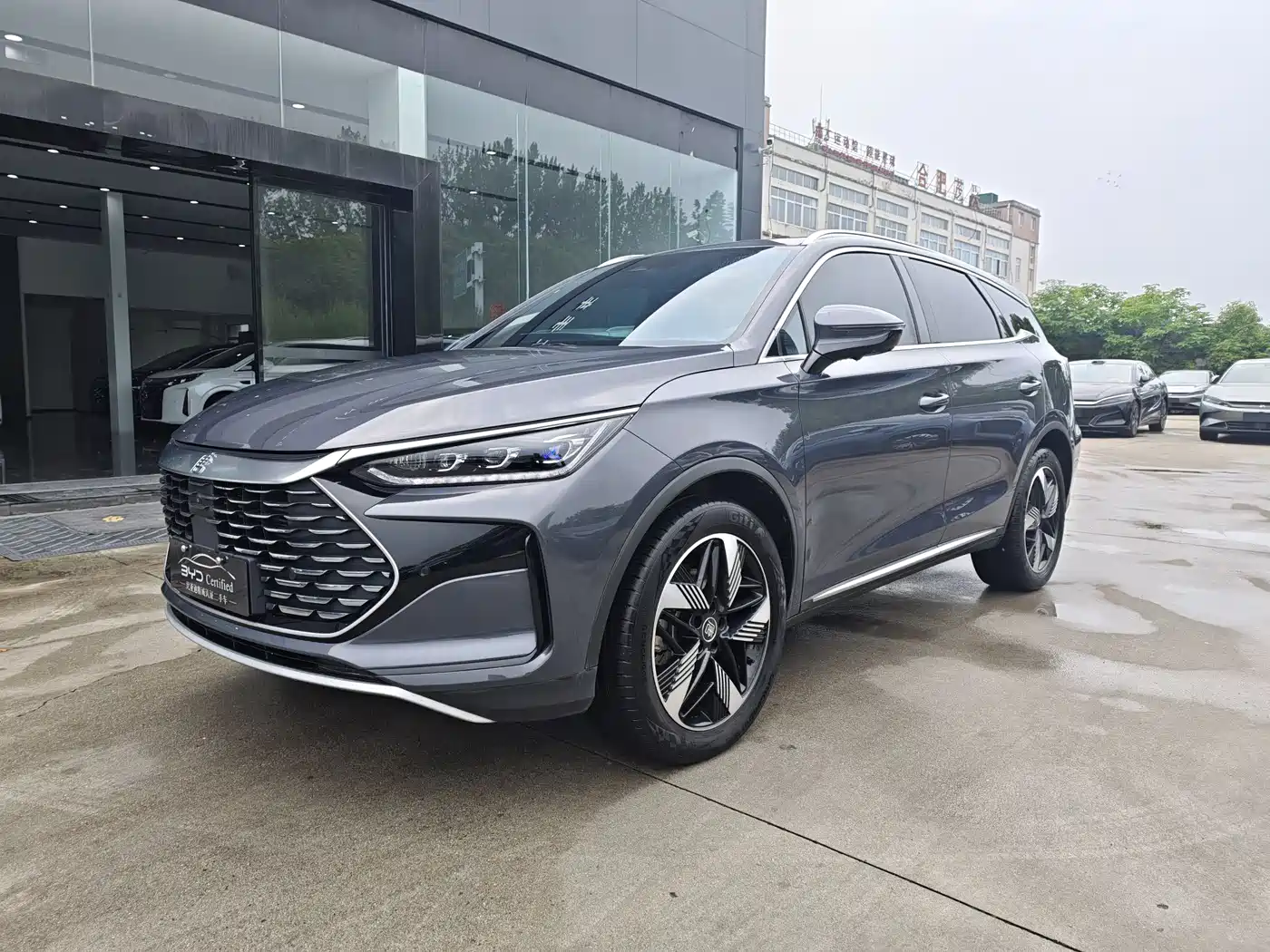 BYD Tang New Energy 2024 DM-i Honor Edition 112KM Premium