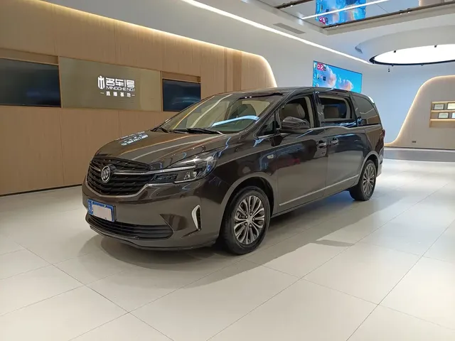 Buick GL8 2020 Model Land Business Class 652T Luxury