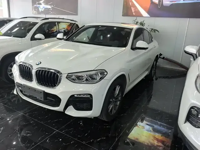 BMW X4 2019 xDrive25i M Sport Package