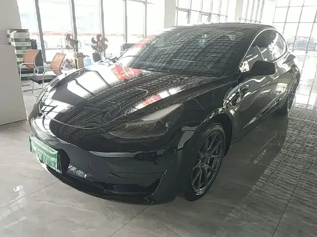 Tesla Model 3 2021 Standard Range Rear-Wheel Drive Upgrade 3D6