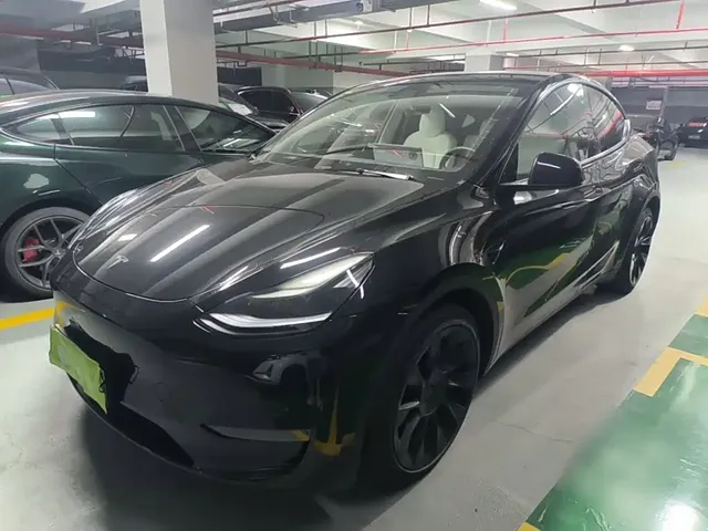 Tesla Model Y 2021 Long Range All-Wheel Drive 3D7