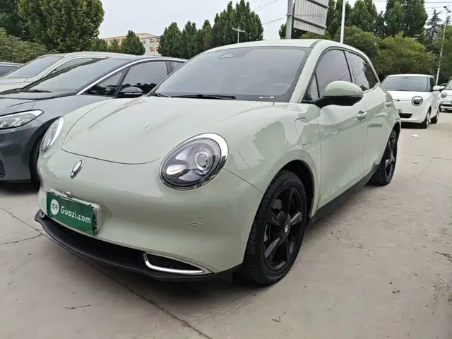 Ora Good Cat 2024 401km Luxury