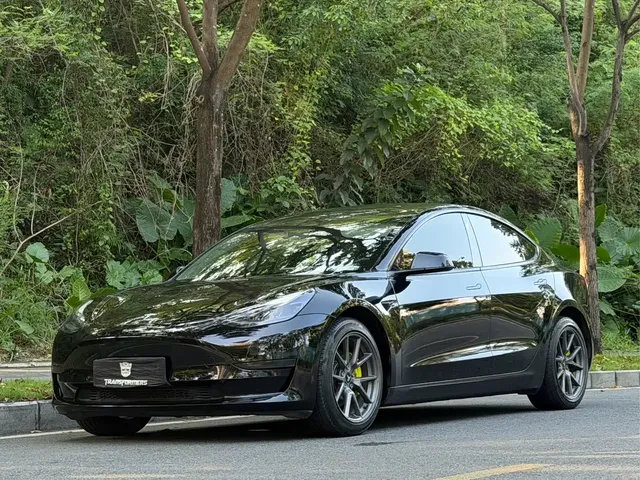 Tesla Model 3 2022 Model Rear-Wheel Drive Version