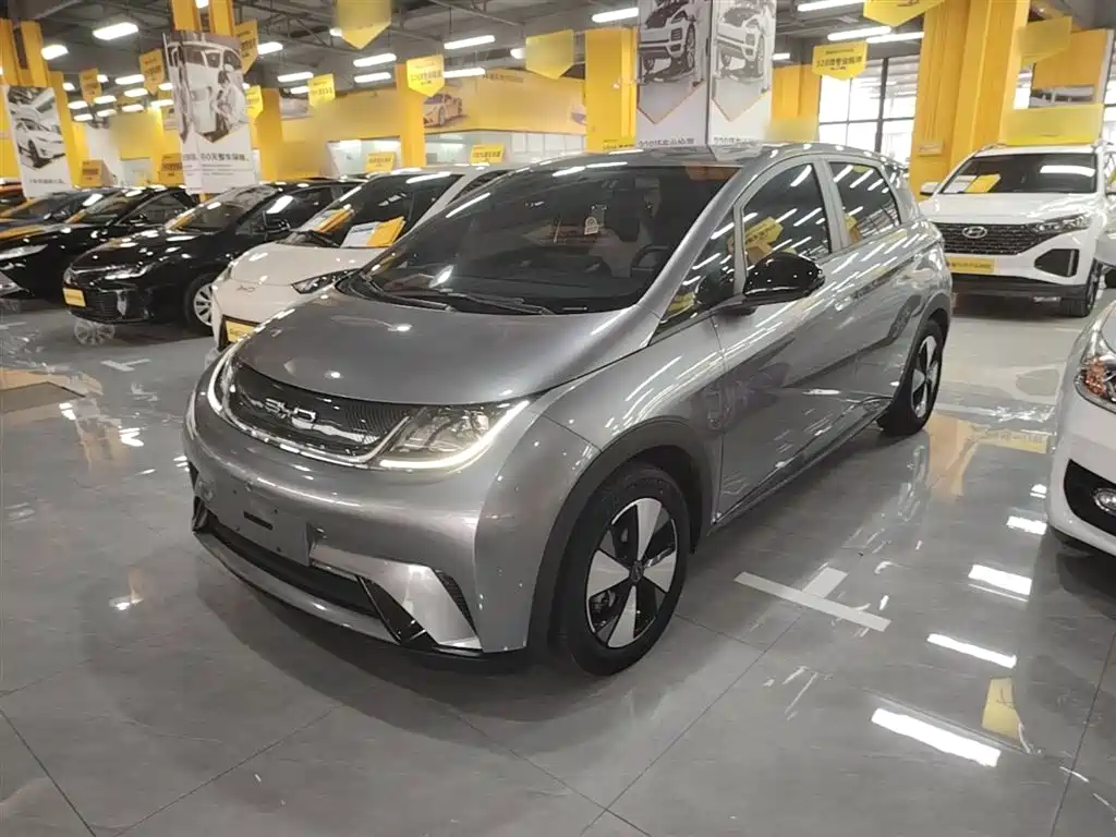 BYD Dolphin 2023 420km Freedom Edition
