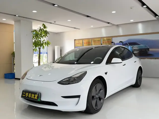 Tesla Model 3 2021 Standard Range Rear-Wheel Drive Upgrade