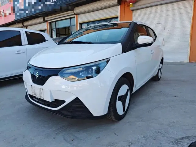 JMCG New Energy Little Kirin 2024 201km Comfort Model