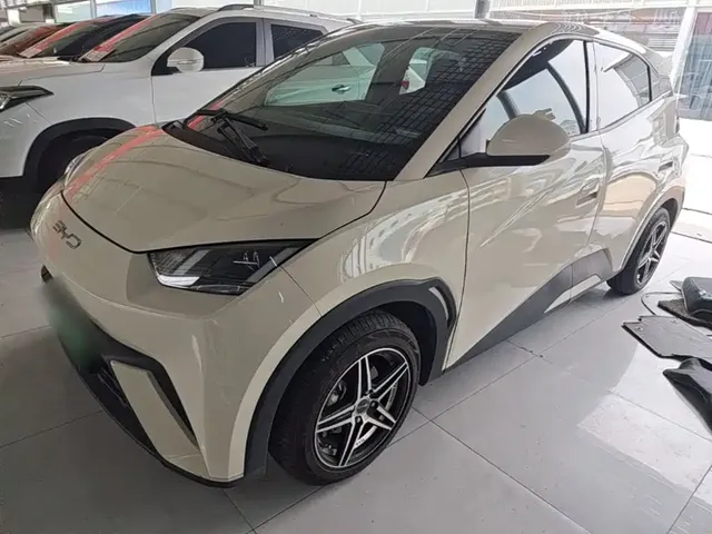 BYD Seagull 2024 Glory Edition 305km Vitality Edition