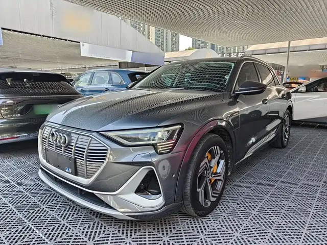 Audi e-tron 2021 50 quattro Exclusive Selection