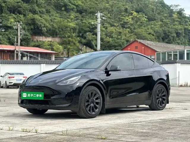 Tesla Model Y 2022 Rear-Wheel Drive Version