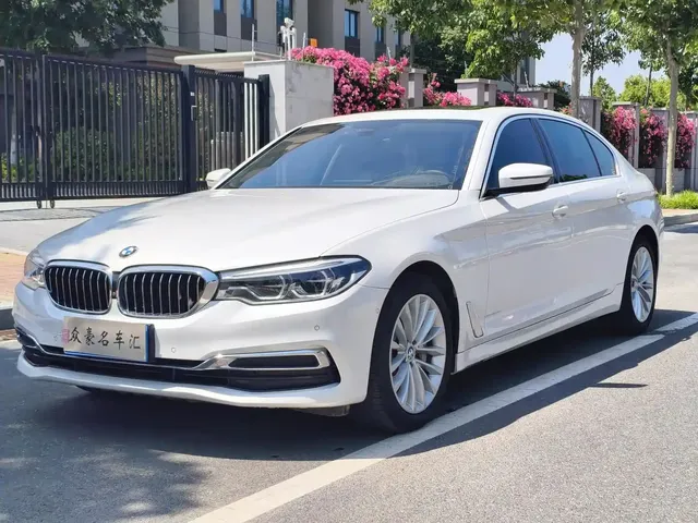 BMW 5 Series 2020 530Li Premium Luxury Package