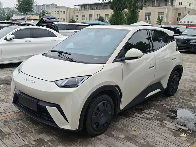 BYD Seagull 2024 Glory Edition 305km Vitality Edition