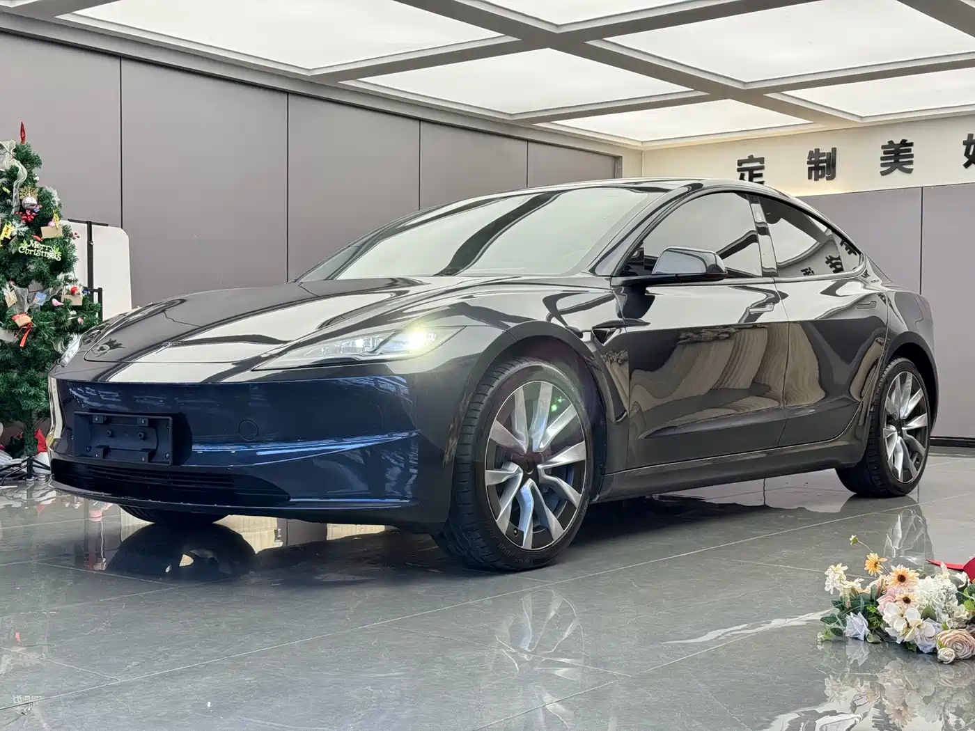 Tesla Model 3 2025 Model Rear-Wheel Drive Edition