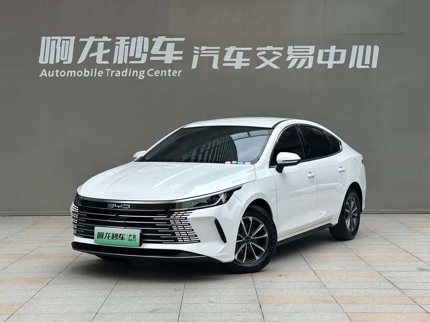 BYD Destroyer 05 2023 Champion Edition DM-i 55KM Luxury