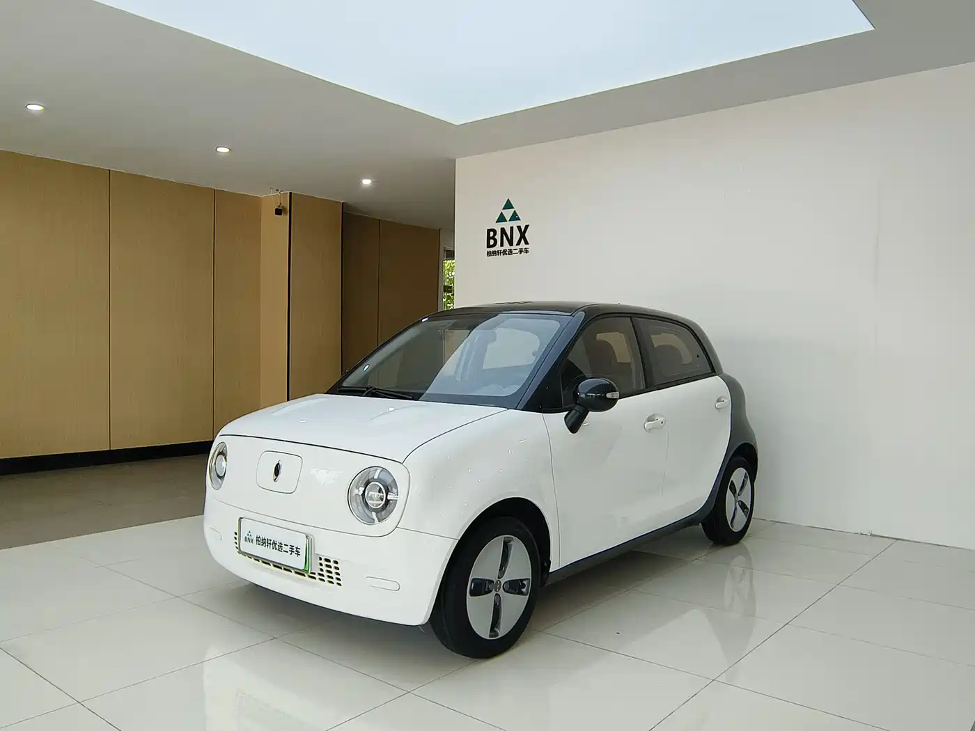 Ora Black Cat 2022 301km Cute Pet Edition (LFP)