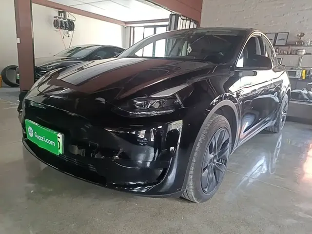 Tesla Model Y 2024 Rear-Wheel Drive Version
