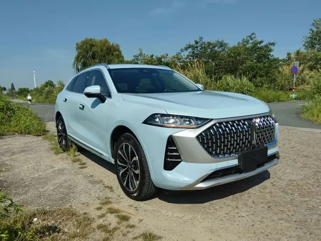 WEY Mocha 2021 2.0T 2WD Premium Edition