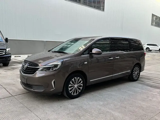 Buick GL8 2018 28T Luxury Model China VI