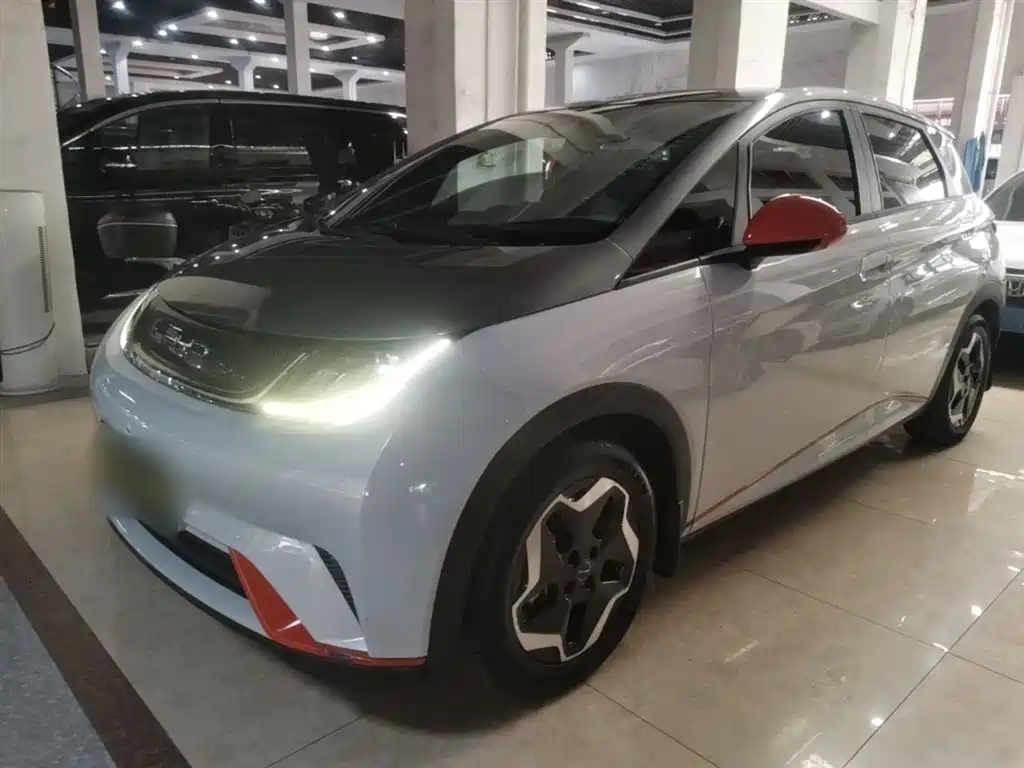 BYD Dolphin 2021 Model 405km Fashion Edition